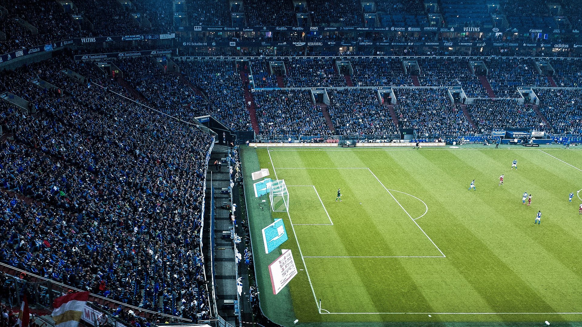 体育产业数字化转型